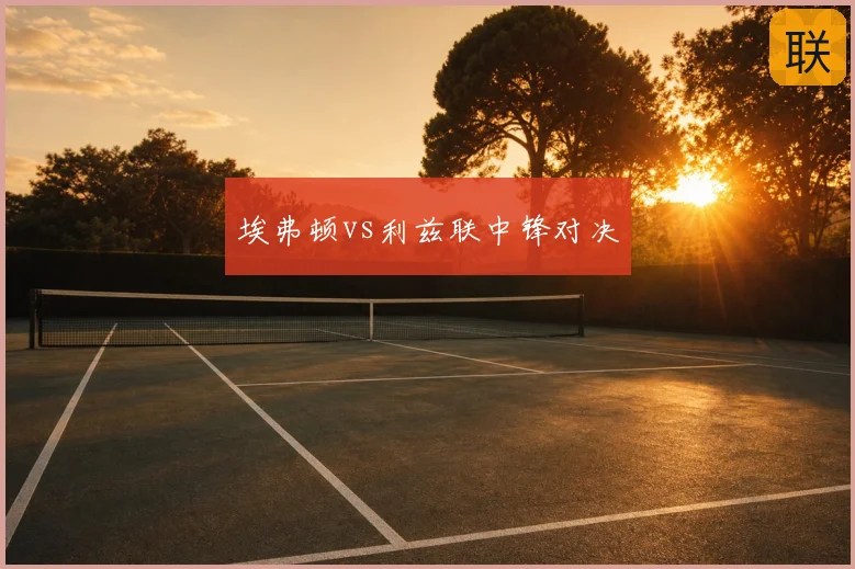 埃弗顿vs利兹联中锋对决