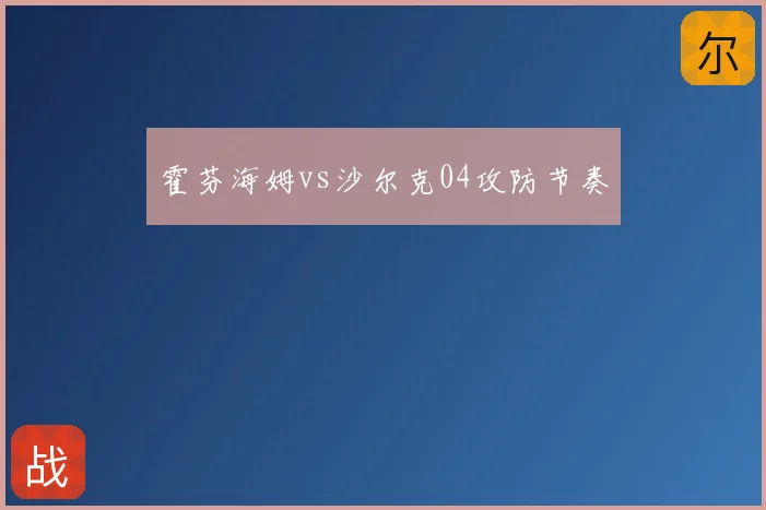 霍芬海姆vs沙尔克04攻防节奏